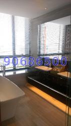 Tomlinson Heights (D10), Condominium #210473161